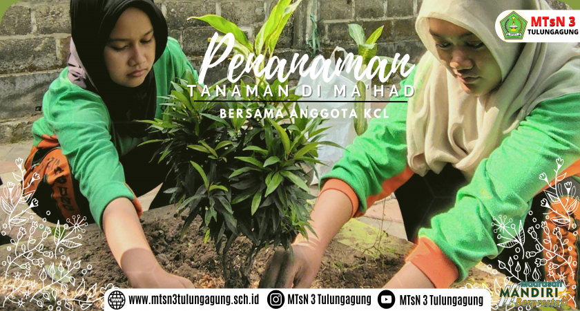 Kegiatan penanaman tanaman dalam rangka memperingati Hari Lingkungan Hidup 2023